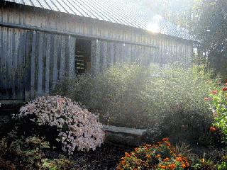 Schaeffer Barn 2