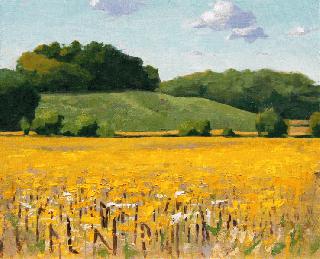 Abby Laux Golden Fields