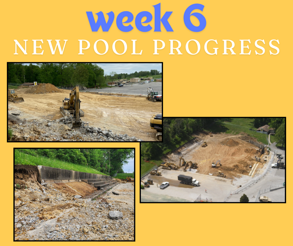 Pool Week 6